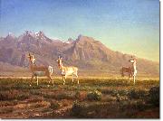 Albert Bierstadt Prong-Horned Antelope Spain oil painting artist